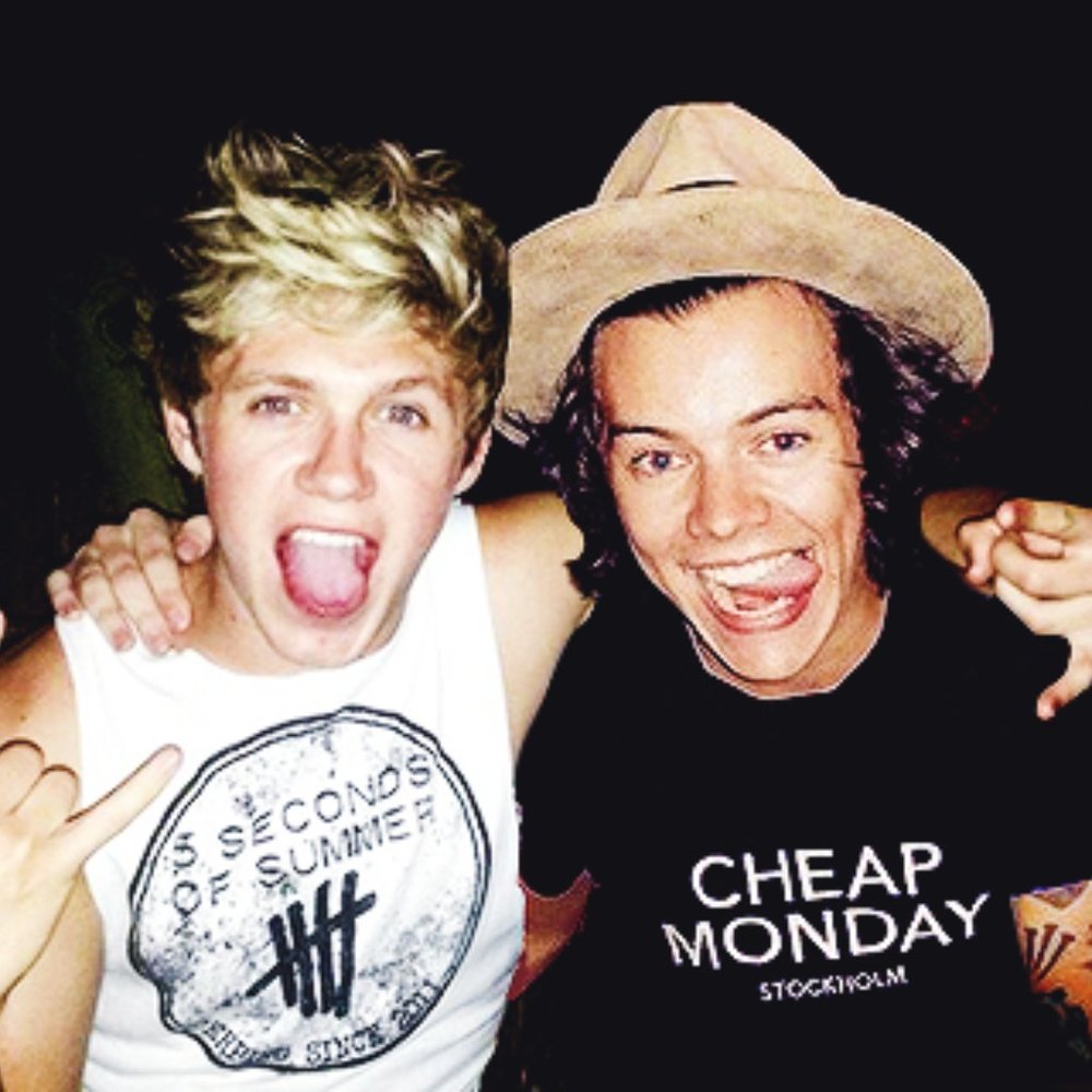 ISO Niall Horan on the loose tshirt (size L/XL)